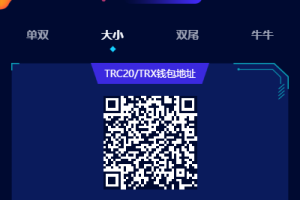 【代码开源】前端vue版哈希竞彩/区块链哈希值游戏/usdt/trx双玩法