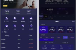 【独家发布】APEX多语言外汇微盘微交易所源码/单控点控+代理分销+K线完好/前端html后端PHP