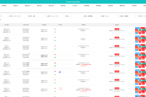 独家修复完美运营海外抢单刷单系统/连单系统/VUE3开发开源